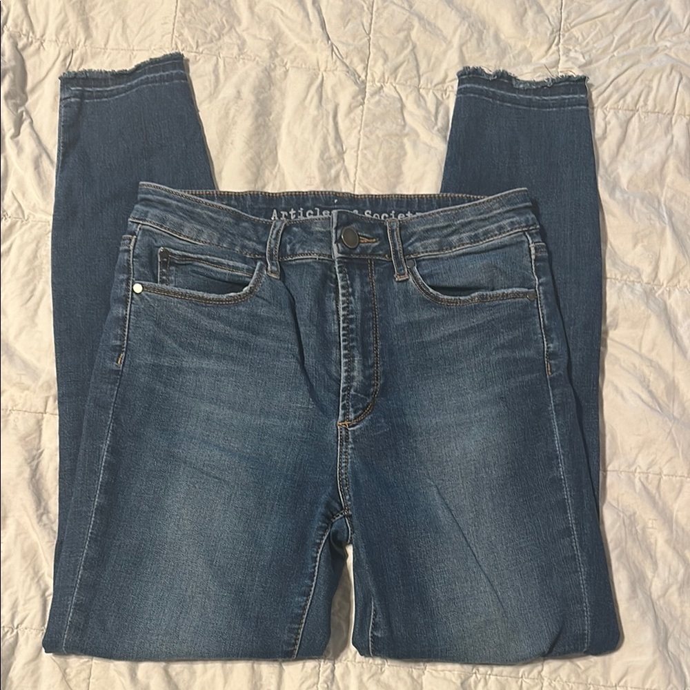 Articles Of Society Light Blue Denim Pants